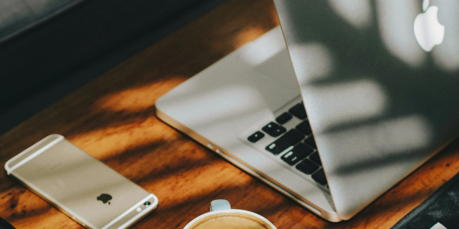 Focus sur la Licence Sciences Technologie Santé Mention Informatique Focus sur la Licence Sciences Technologie Santé Mention Informatique