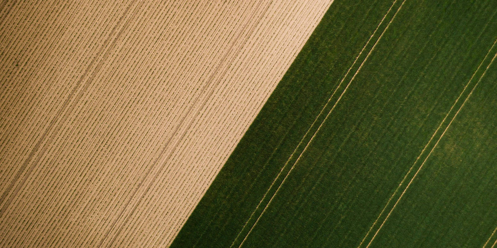 Les Différentes Licences de Sciences et Technologies