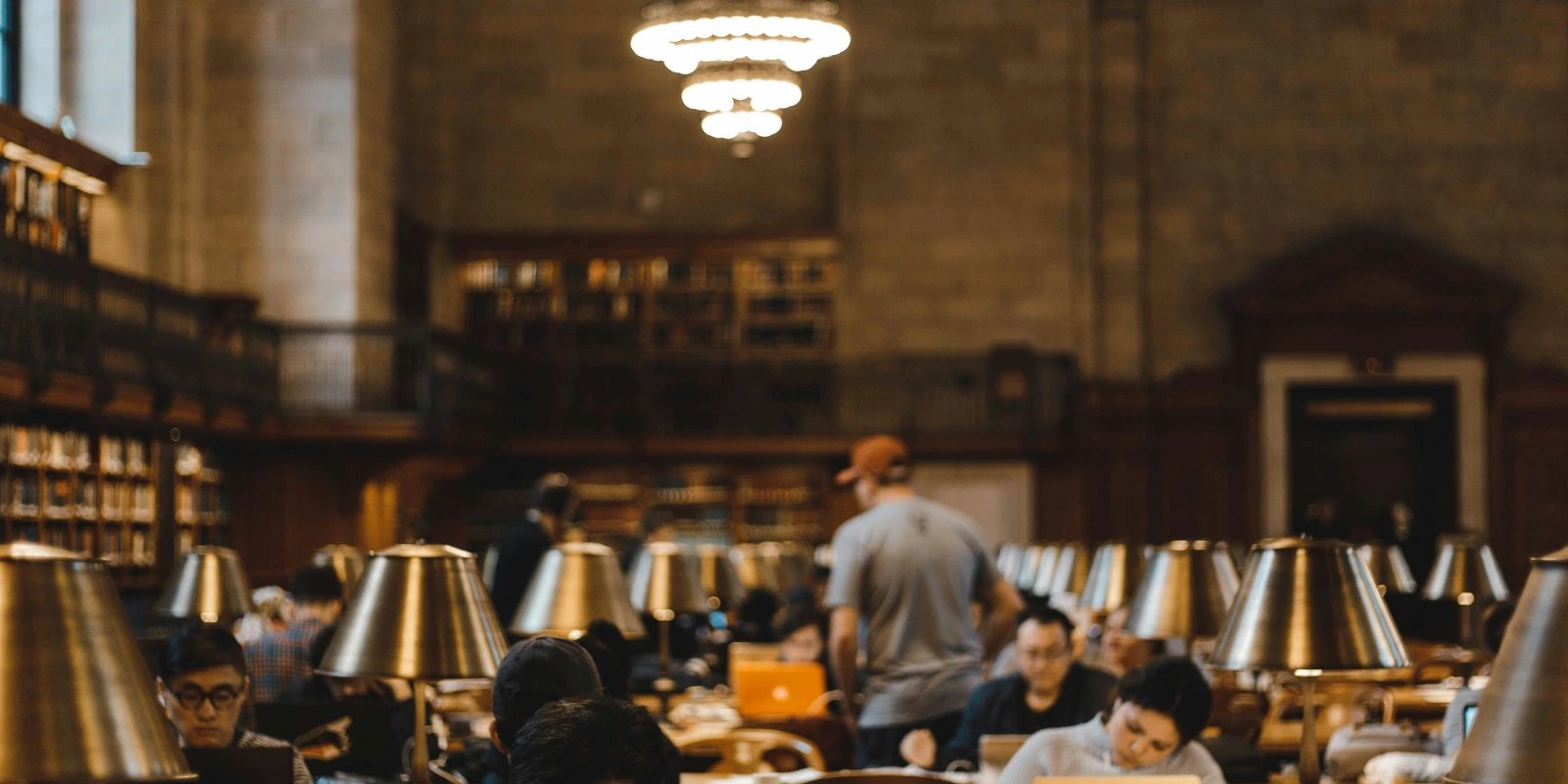 Les Programmes en Licence Sciences et Technologies à Bordeaux