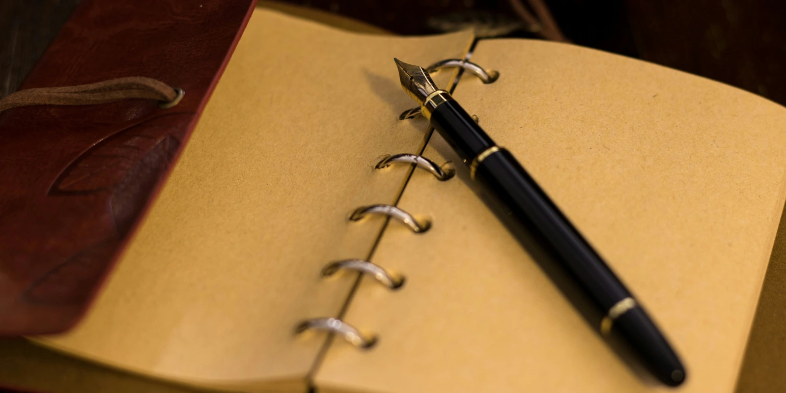 Licence Sciences Techno et Santé Mention Physique Chimie