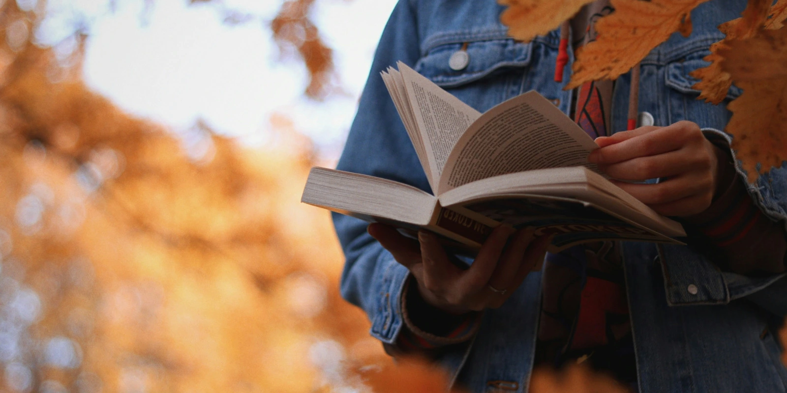 Licence Sciences Technologie Santé : Parcours et Options Licence Sciences Technologie Santé : Parcours et Options