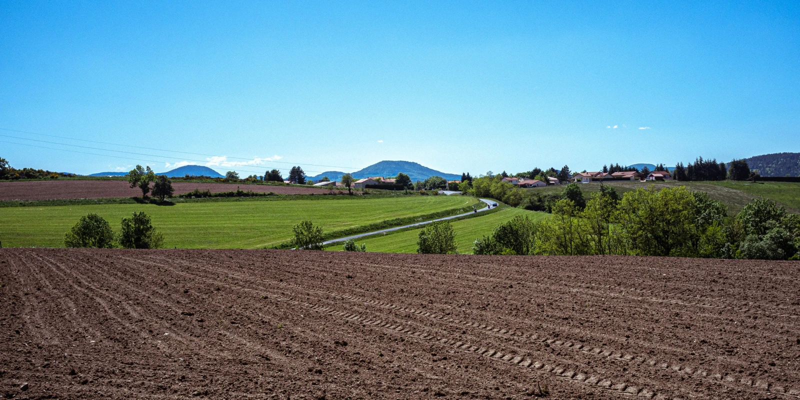 Programme de Licence Science et Technologie à Strasbourg